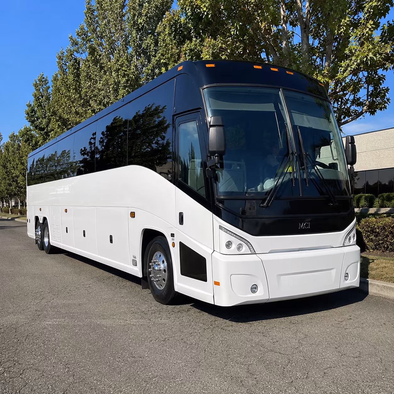 san bernardino 50 passenger charter bus