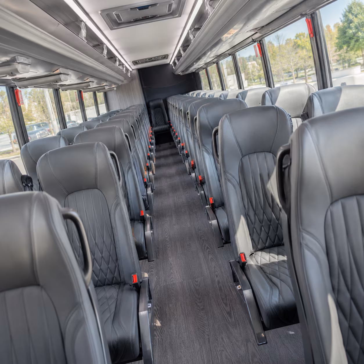 san bernardino bachelor bachelorette transportation